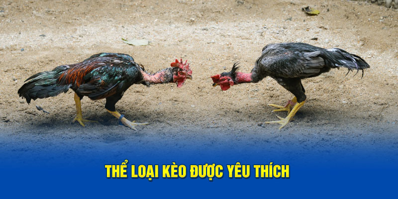 Thể loại kèo được yêu thích