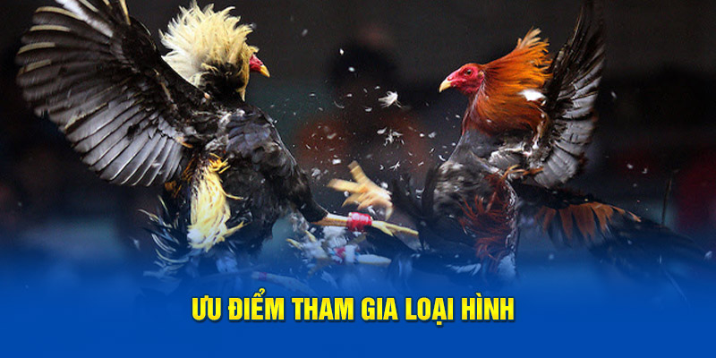 Ưu điểm tham gia loại hình